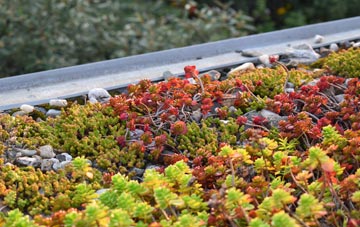the cost of Crewton green roof installation